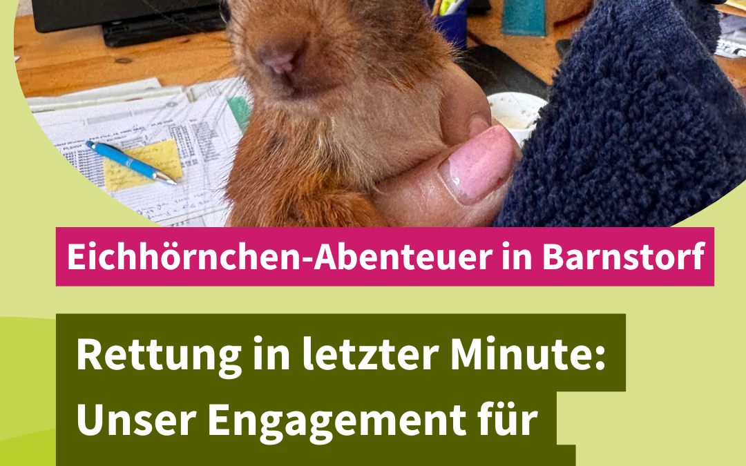 Aus dem Alltag unserer Geschäftsstelle in Barnstorf…