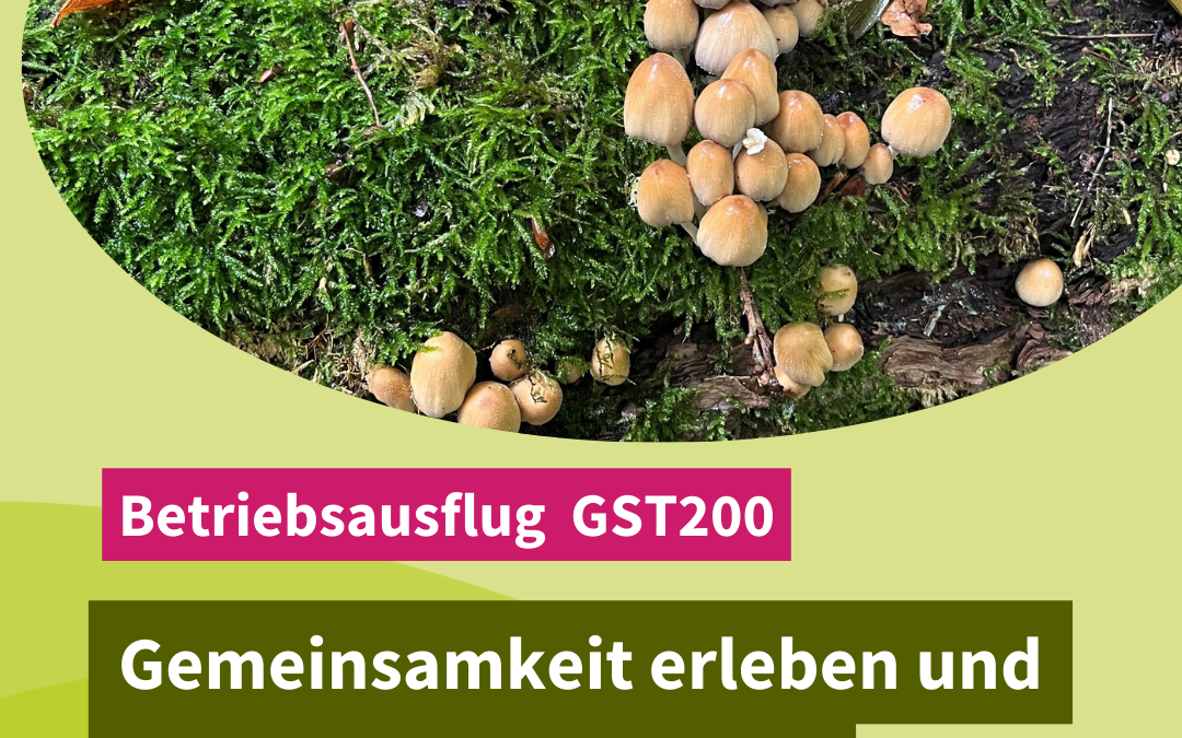 Betriebsausflug 2024: Gemeinsamkeit erleben und Kraft im Wald tanken