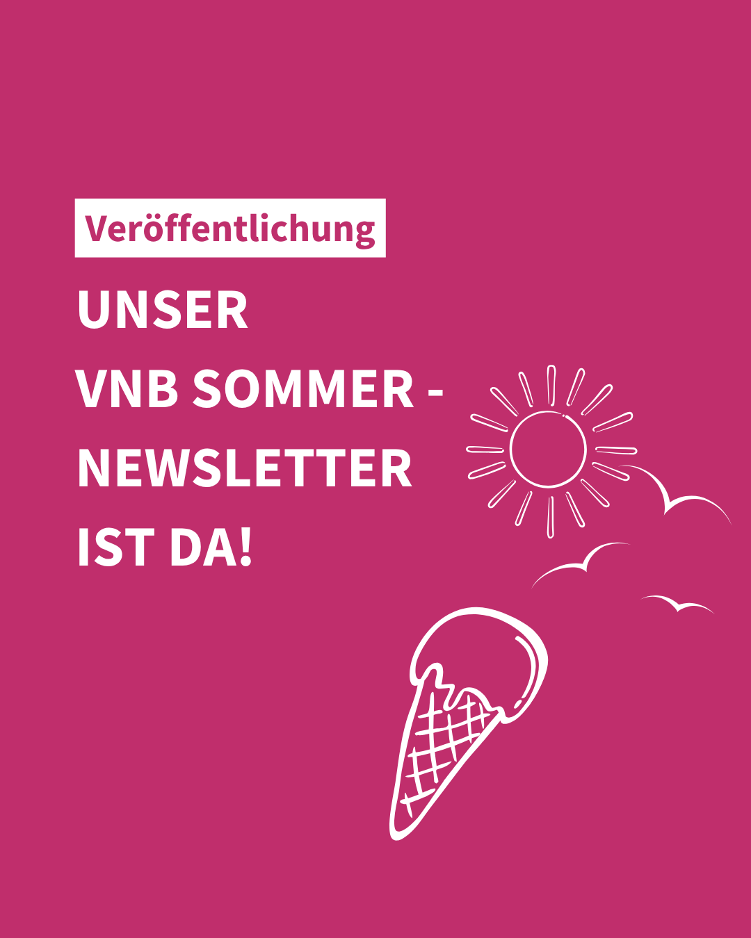 Sommernewsletter des VNB – Gemeinsam für Frieden, Demokratie und eine starke Zivilgesellschaft