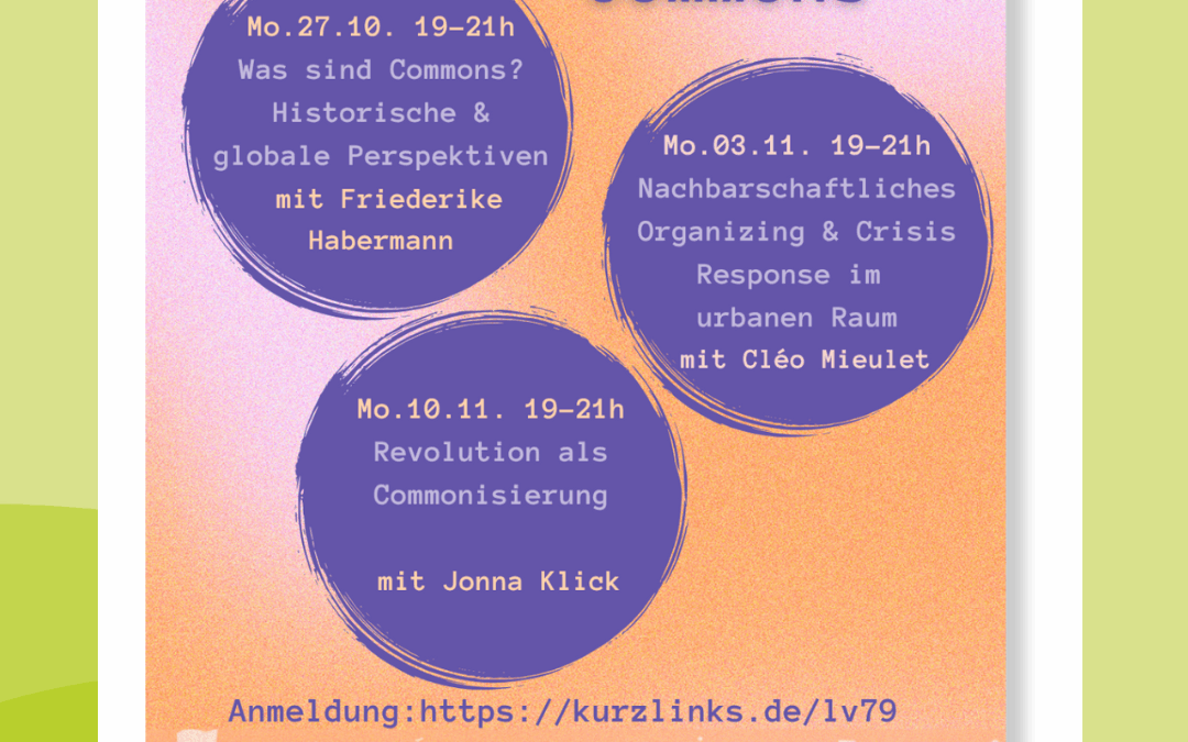 Offene Webinarreihe 2025: Commons & Organizing