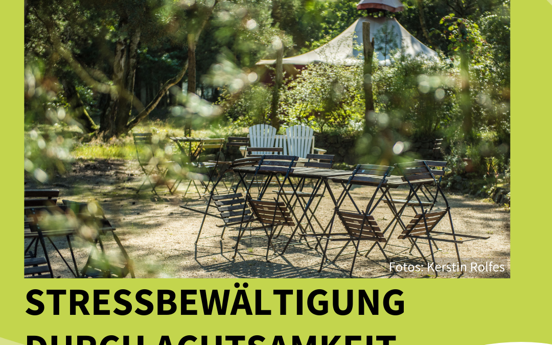 Bildungsurlaub: Stressbewältigung durch Achtsamkeit (MBSR) bei unserem Mitglied Mikado