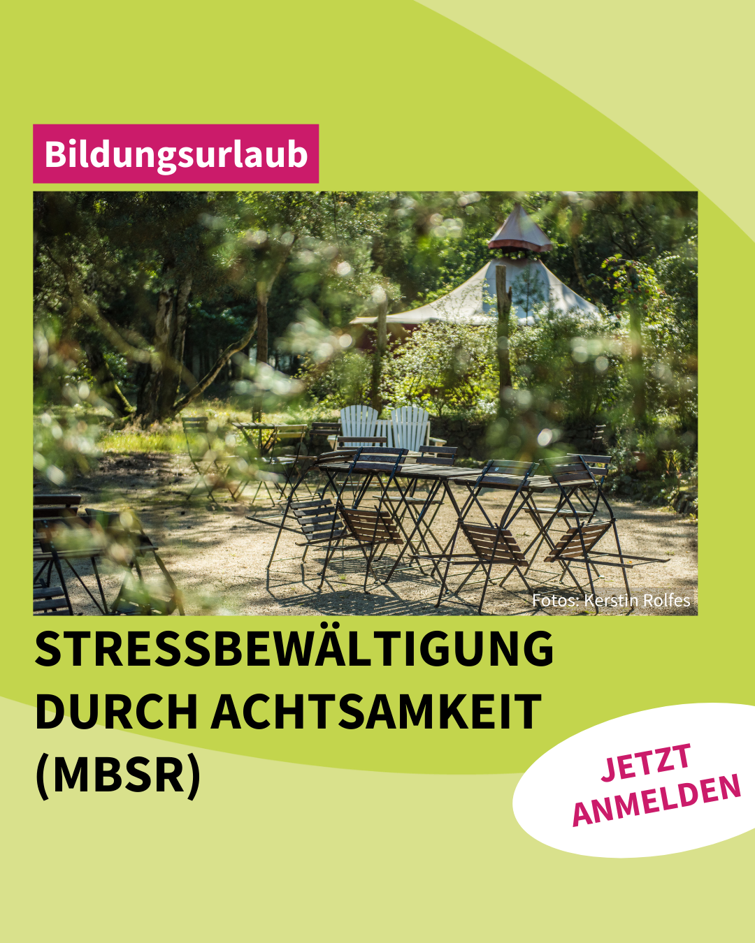 Bildungsurlaub: Stressbewältigung durch Achtsamkeit (MBSR) bei unserem Mitglied Mikado