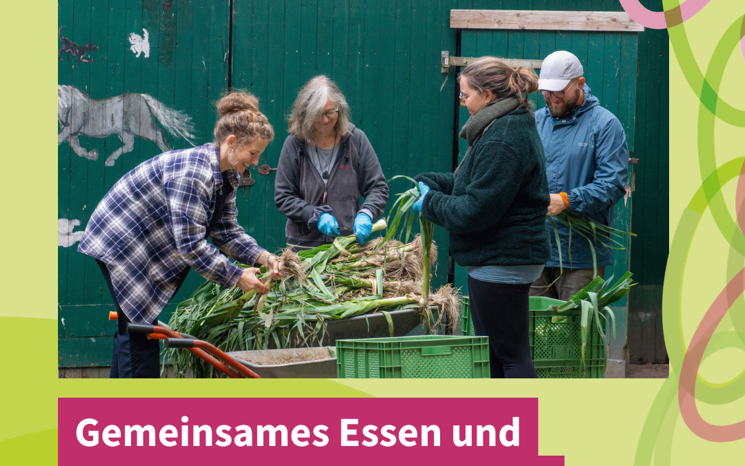 „Demokratie schmeckt“ – gemeinsames Essen und Austausch bei der SoLaWi Am Großen Meer e.V.