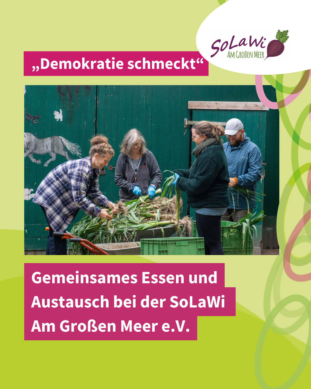 „Demokratie schmeckt“ – gemeinsames Essen und Austausch bei der SoLaWi Am Großen Meer e.V.